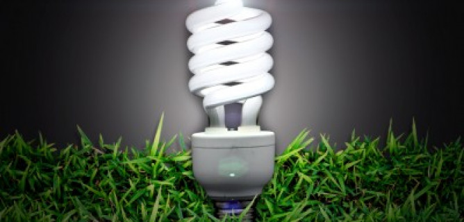 Making the Switch to Energy-Efficient Lighting