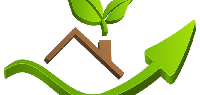 Greening Your Home Starts with an Eco-Friendly Lifestyle