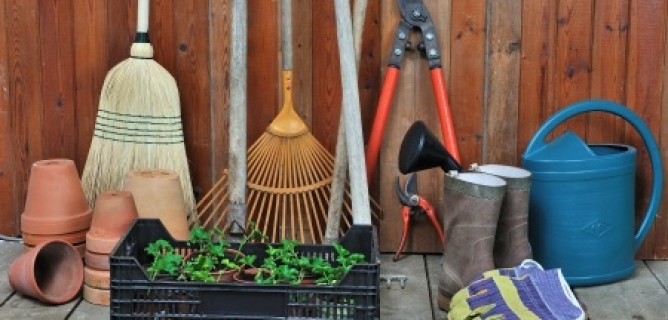 Dust Off Your Gardening Skills with these Tips and Tricks