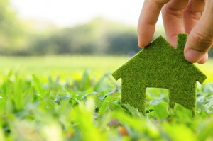 green eco home house