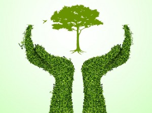tree care